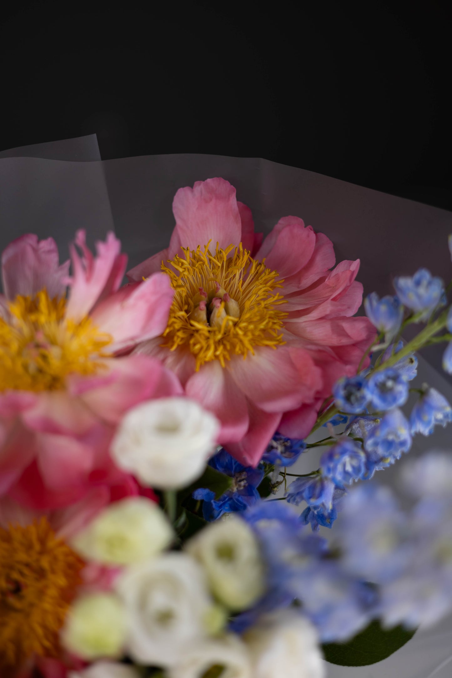 Bright pink peonies and blue delphinium adding a dramatic pop of color