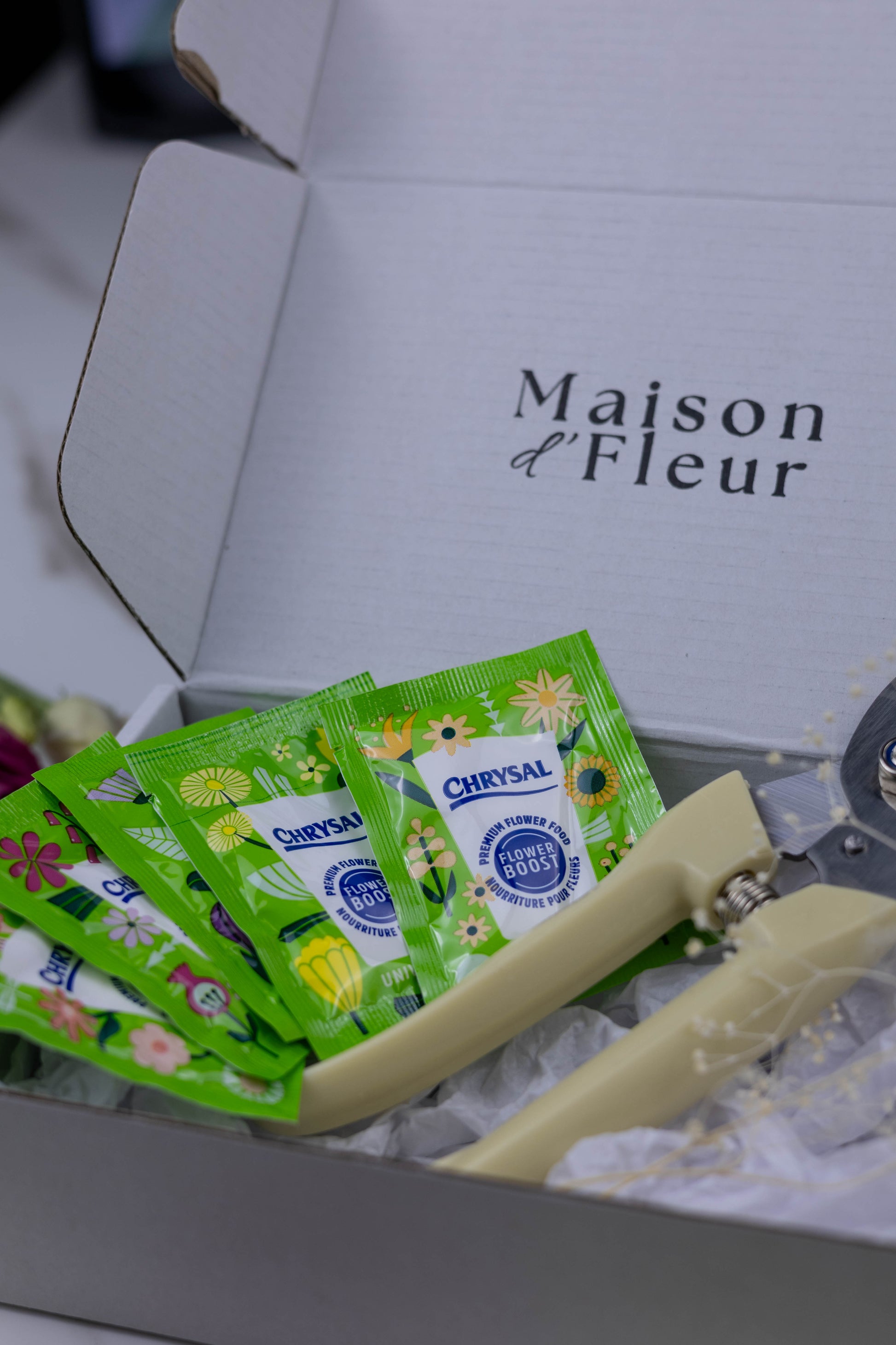 Green packets with floral designs and a pair of scissors on a white box labeled 'Maison d'Fleur'.