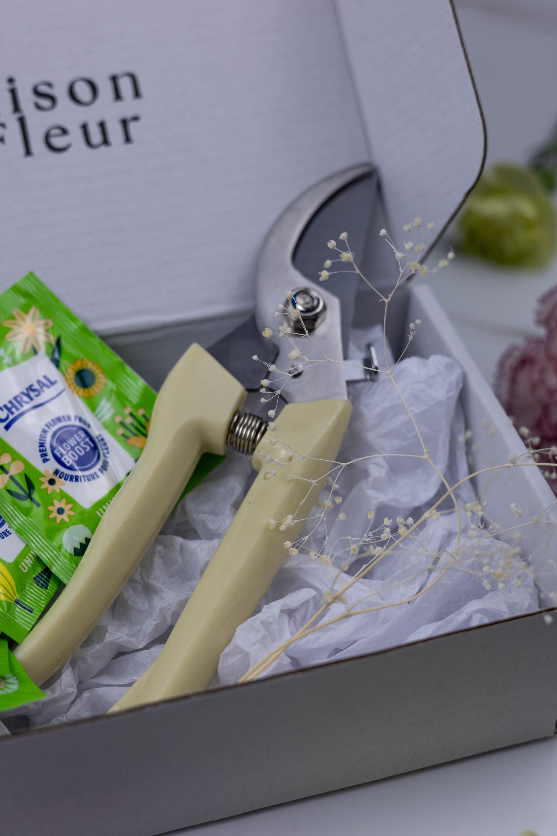Box with gardening tools and a small plant package, featuring the brand 'Jison Fleur'.
