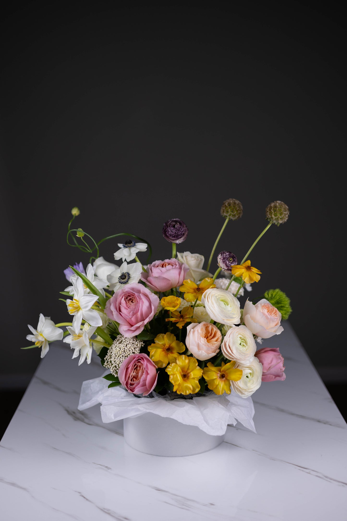 Designer’s Choice in Hatbox