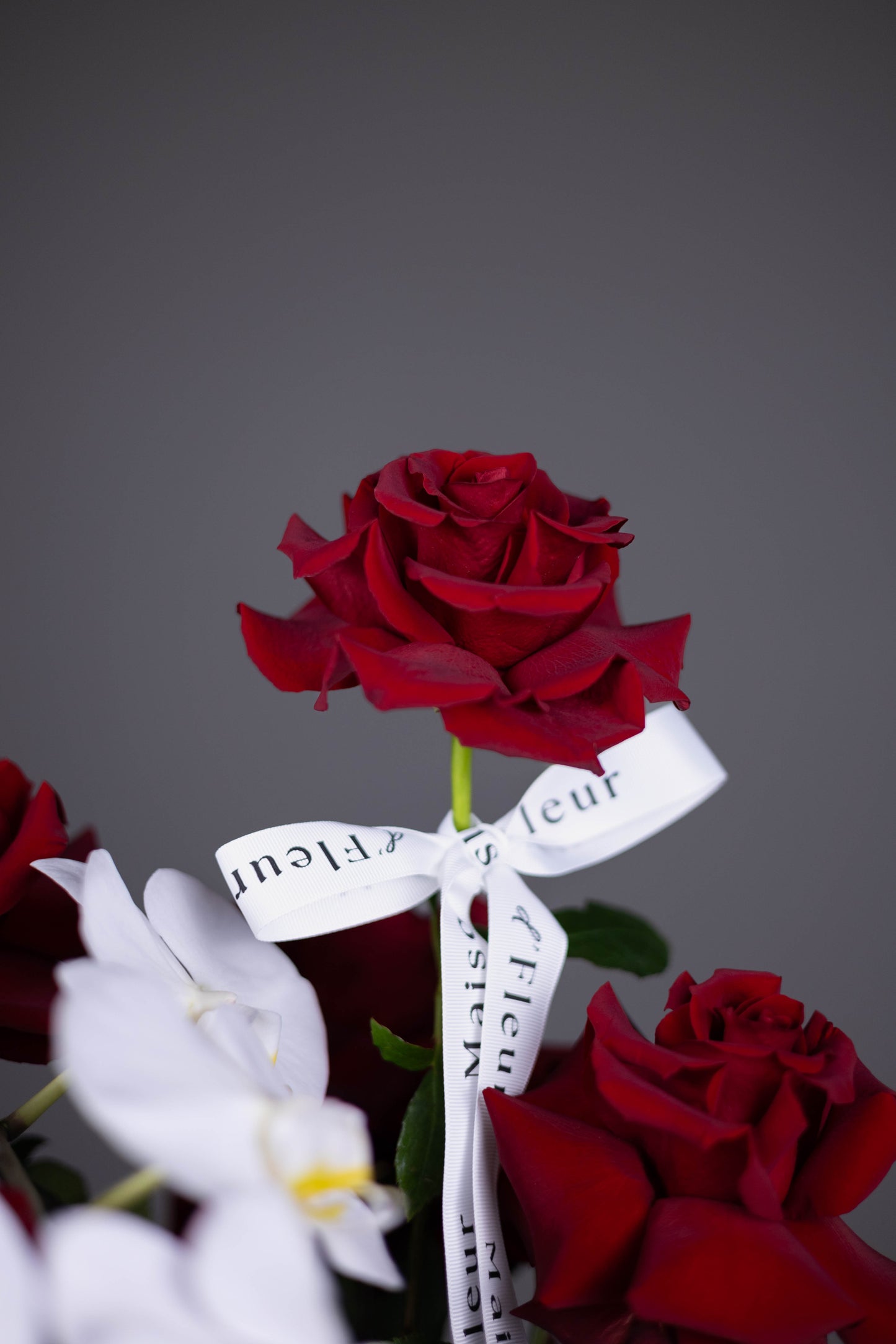 "La Reine Noire" Exclusive Hatbox of Red Roses & Orchids