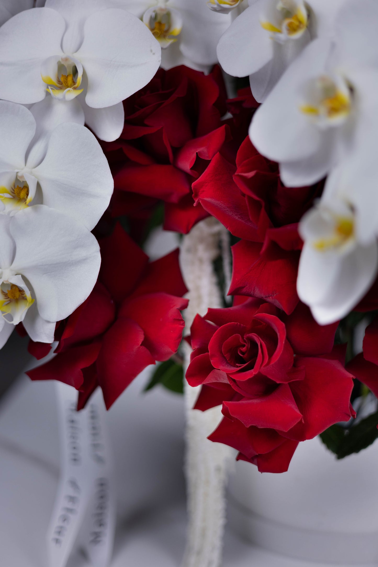 "La Reine Noire" Exclusive Hatbox of Red Roses & Orchids