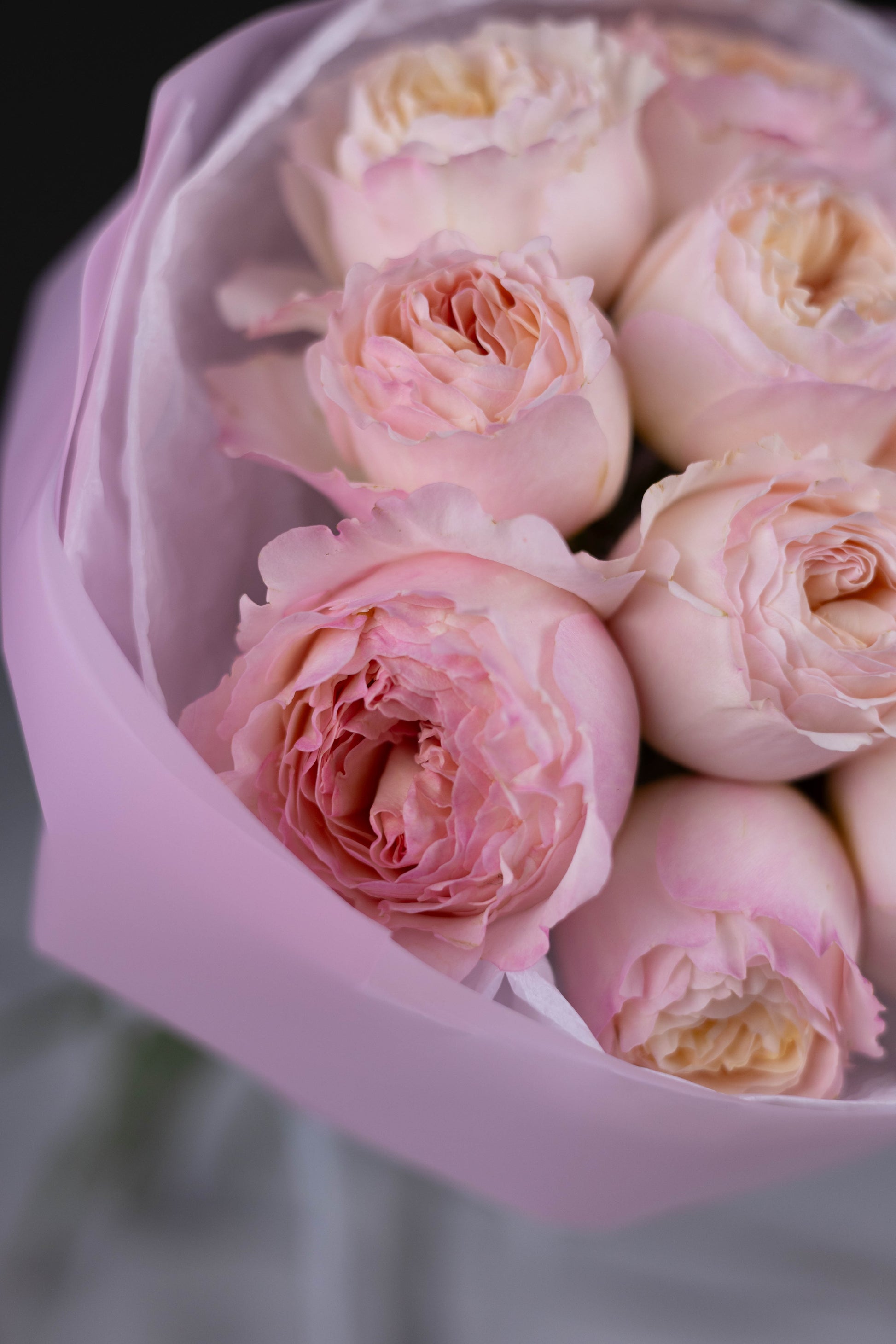 Luxury flower arrangement in Charlotte, Matthews, Fort Mill, Rock Hill, Waxhaw
Same-day flower delivery in Charlotte, Matthews, Fort Mill, Rock Hill, Waxhaw
Florist flowers in Charlotte, Matthews, Fort Mill, Rock Hill, Waxhaw