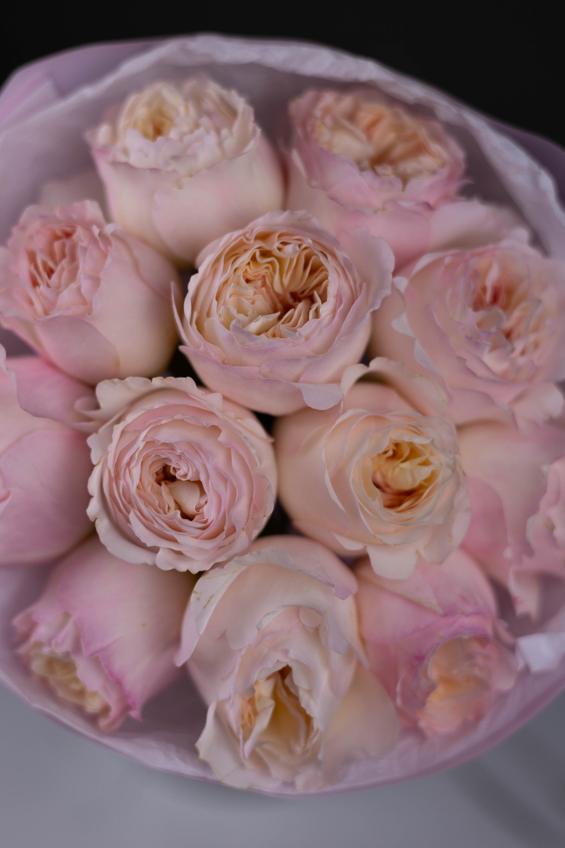 Luxury flower arrangement in Charlotte, Matthews, Fort Mill, Rock Hill, Waxhaw
Same-day flower delivery in Charlotte, Matthews, Fort Mill, Rock Hill, Waxhaw
Florist flowers in Charlotte, Matthews, Fort Mill, Rock Hill, Waxhaw