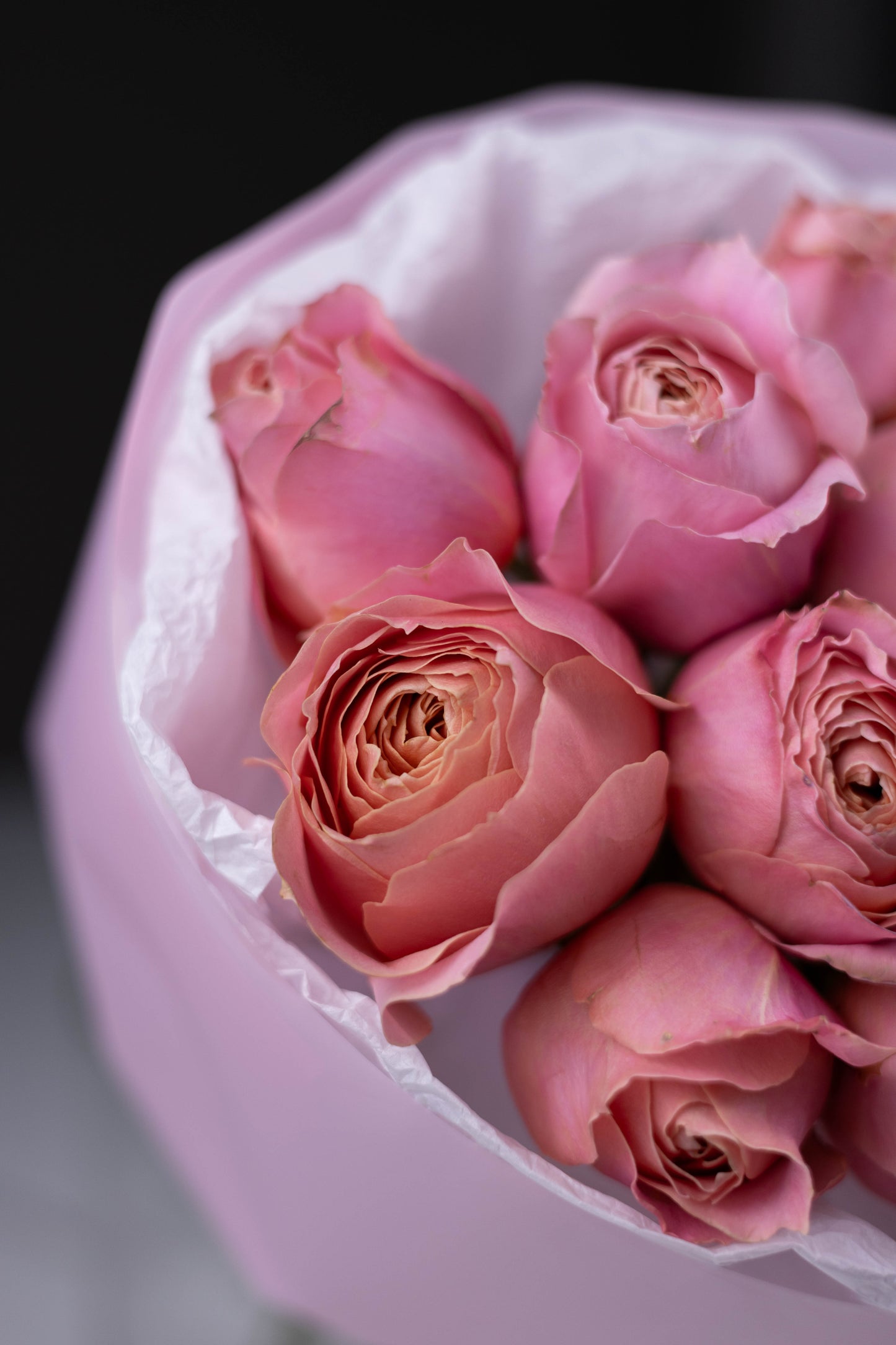 Luxury flower arrangement in Charlotte, Matthews, Fort Mill, Rock Hill, Waxhaw
Same-day flower delivery in Charlotte, Matthews, Fort Mill, Rock Hill, Waxhaw
Florist flowers in Charlotte, Matthews, Fort Mill, Rock Hill, Waxhaw