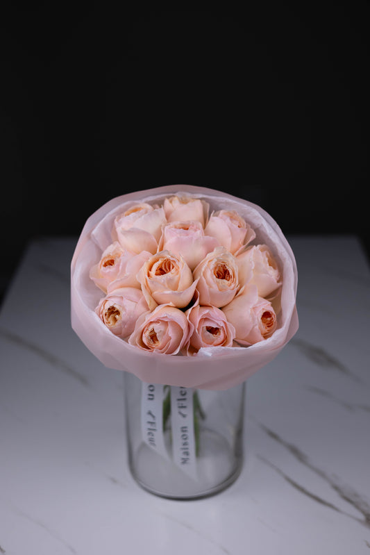 Luxury flower arrangement in Charlotte, Matthews, Fort Mill, Rock Hill, Waxhaw
Same-day flower delivery in Charlotte, Matthews, Fort Mill, Rock Hill, Waxhaw
Florist flowers in Charlotte, Matthews, Fort Mill, Rock Hill, Waxhaw