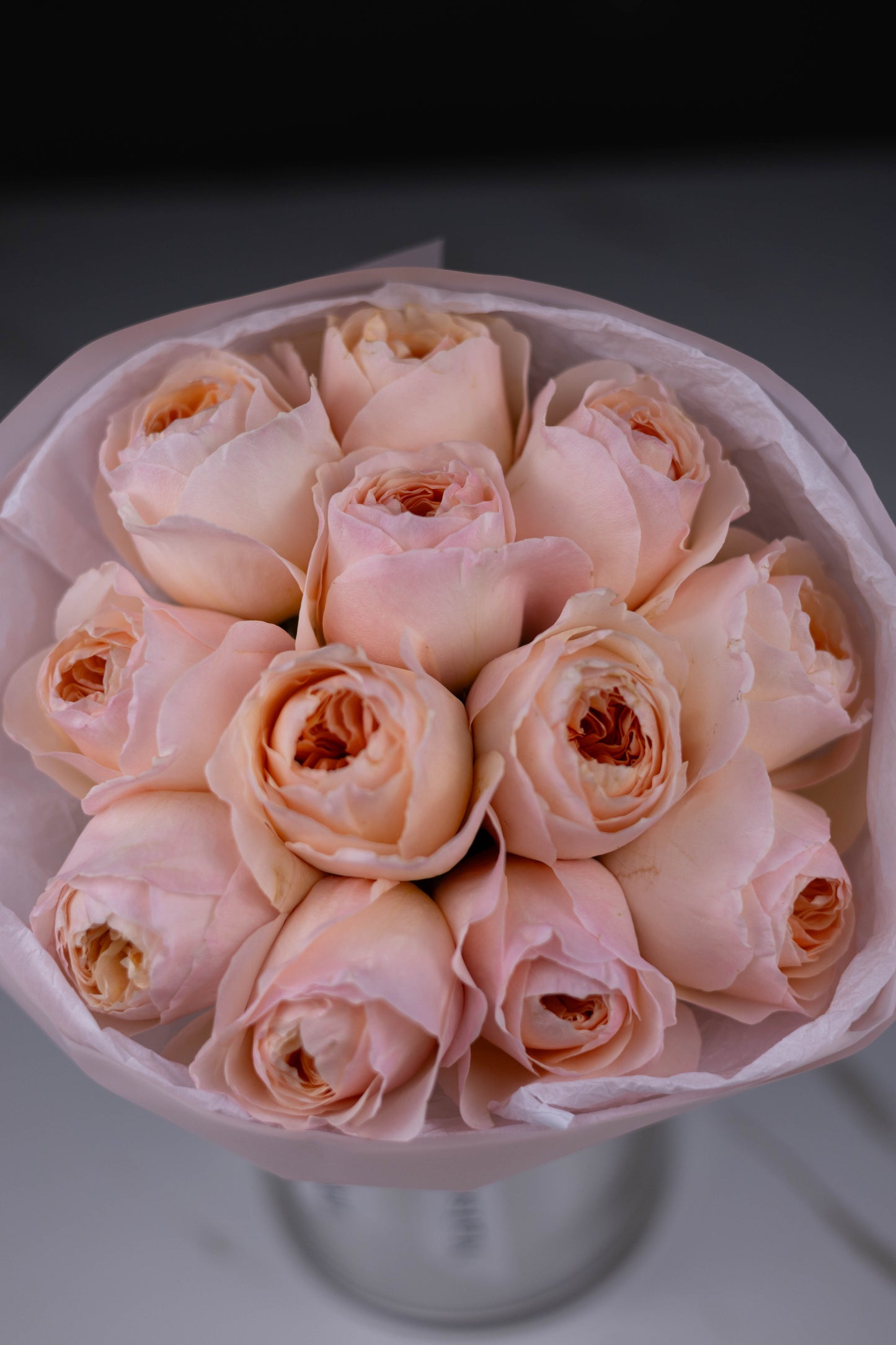 Luxury flower arrangement in Charlotte, Matthews, Fort Mill, Rock Hill, Waxhaw
Same-day flower delivery in Charlotte, Matthews, Fort Mill, Rock Hill, Waxhaw
Florist flowers in Charlotte, Matthews, Fort Mill, Rock Hill, Waxhaw