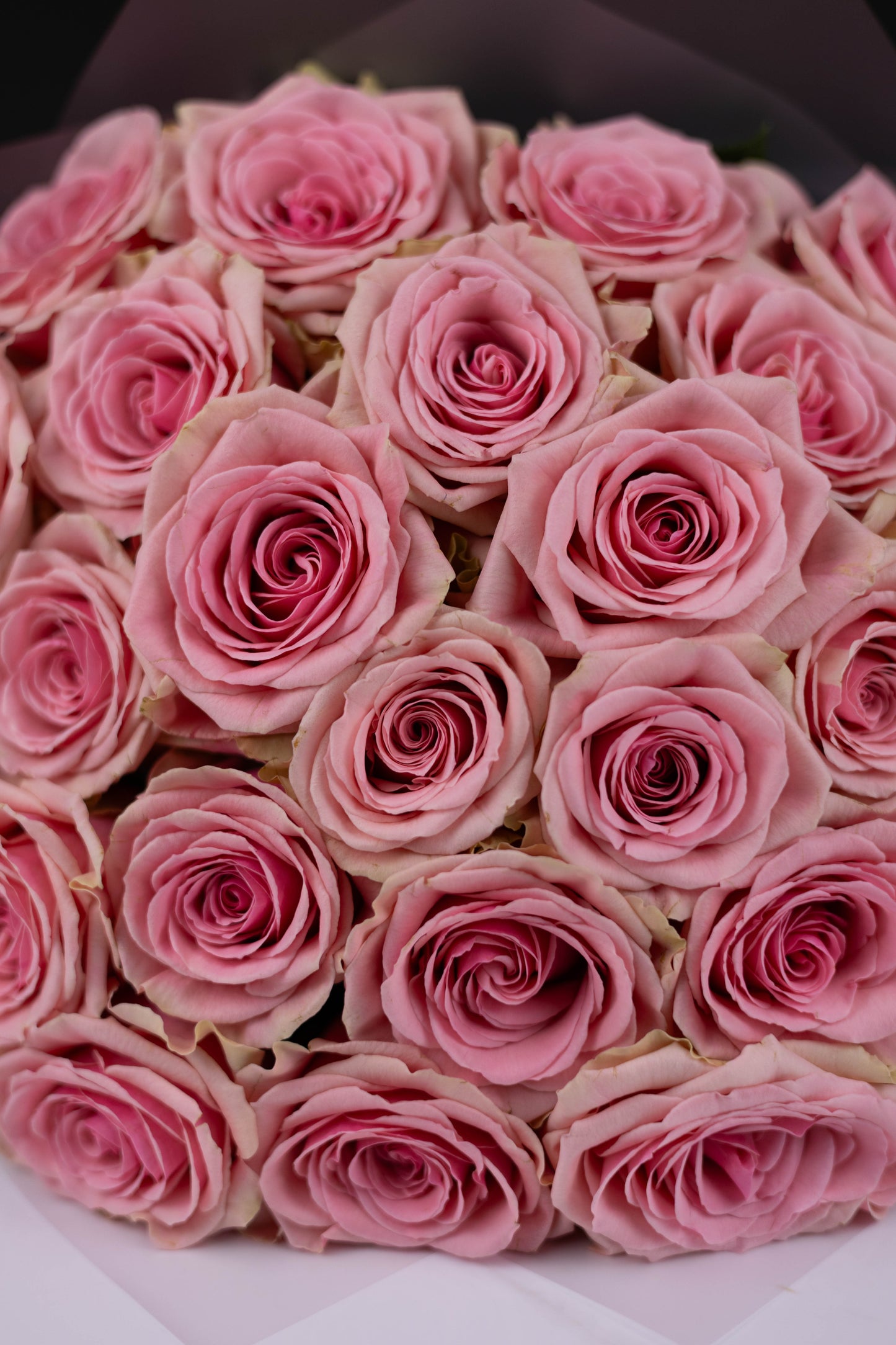 Luxury flower arrangement in Charlotte, Matthews, Fort Mill, Rock Hill, Waxhaw
Same-day flower delivery in Charlotte, Matthews, Fort Mill, Rock Hill, Waxhaw
Florist flowers in Charlotte, Matthews, Fort Mill, Rock Hill, Waxhaw