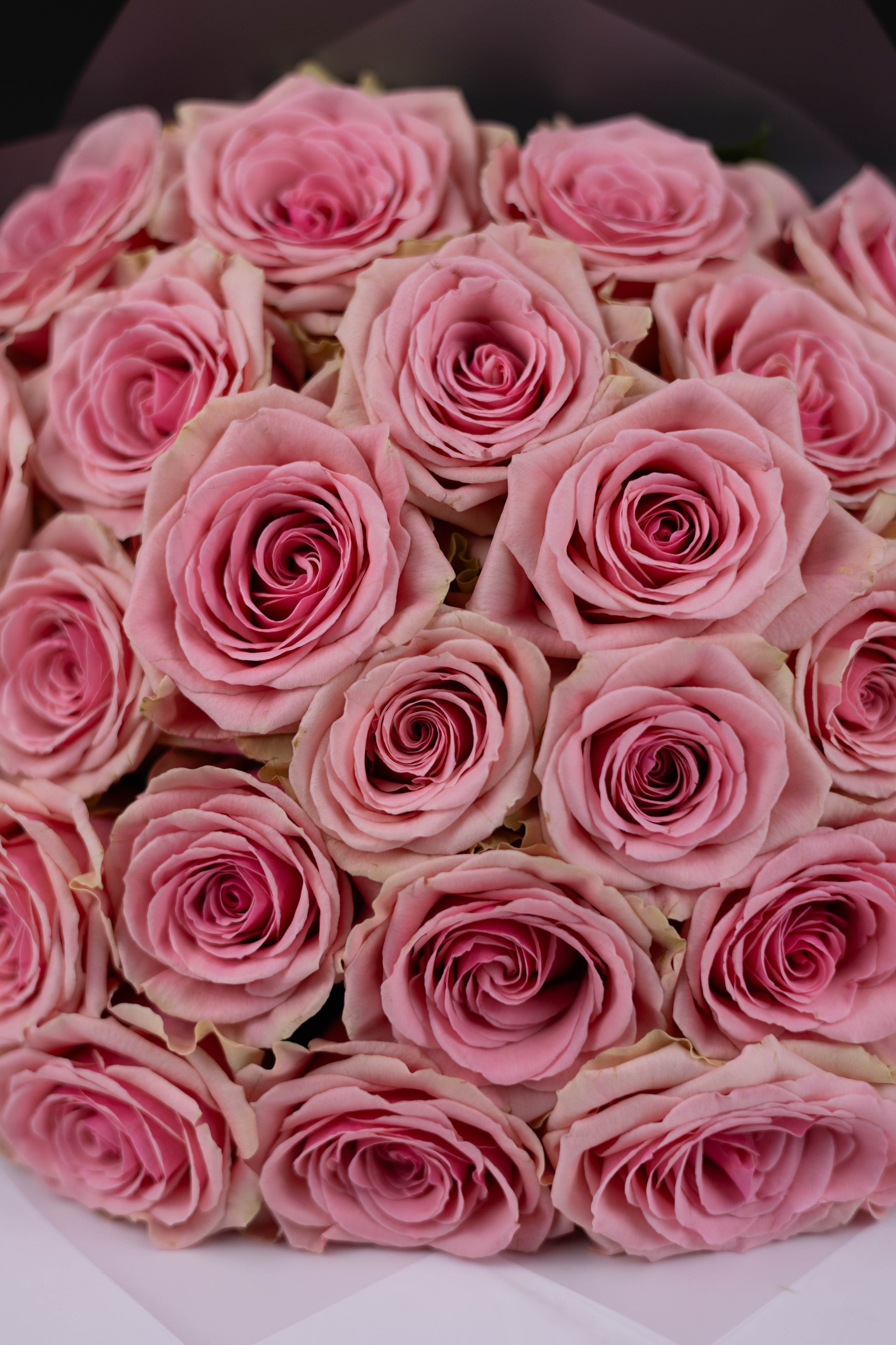 Luxury flower arrangement in Charlotte, Matthews, Fort Mill, Rock Hill, Waxhaw
Same-day flower delivery in Charlotte, Matthews, Fort Mill, Rock Hill, Waxhaw
Florist flowers in Charlotte, Matthews, Fort Mill, Rock Hill, Waxhaw