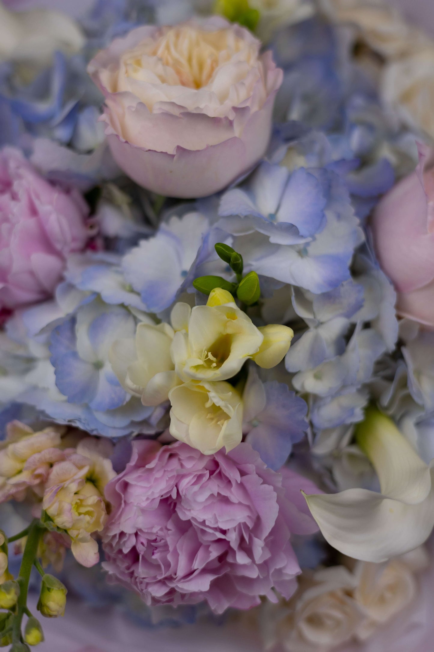 Artistic floral design with pale pink roses, freesias, and seasonal blooms – perfect for soft luxury gifting
