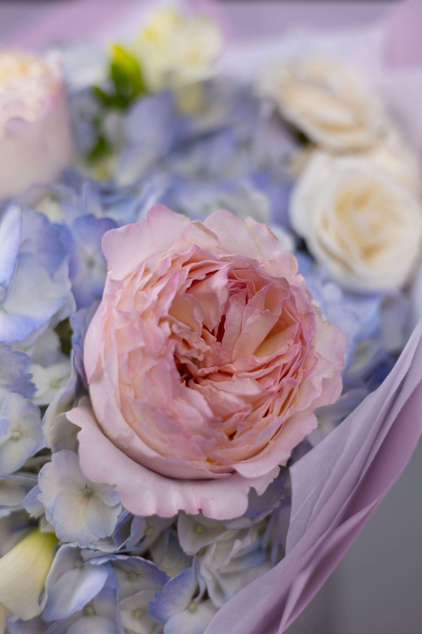 Elegant pastel flower arrangement with pink Keira roses and hydrangeas, available for luxury flower delivery in Charlotte NC