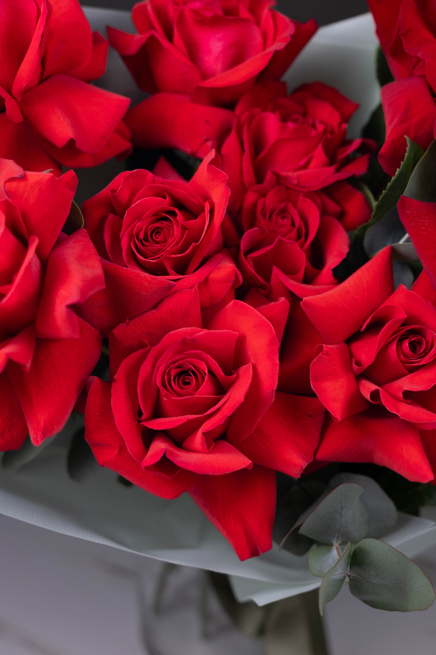 Bouquet of red roses with a blurred background