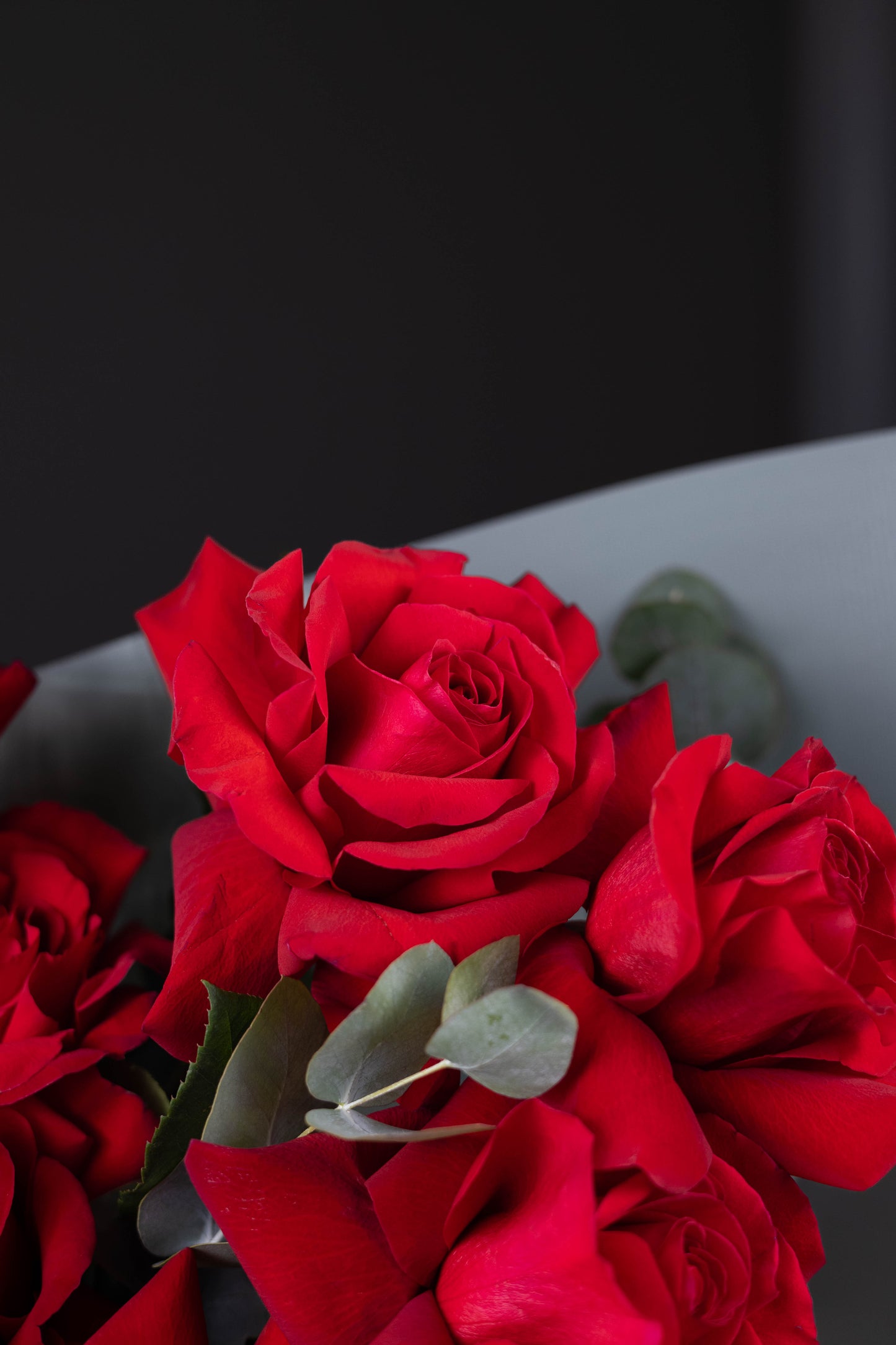 Close-up of red roses with a dark background