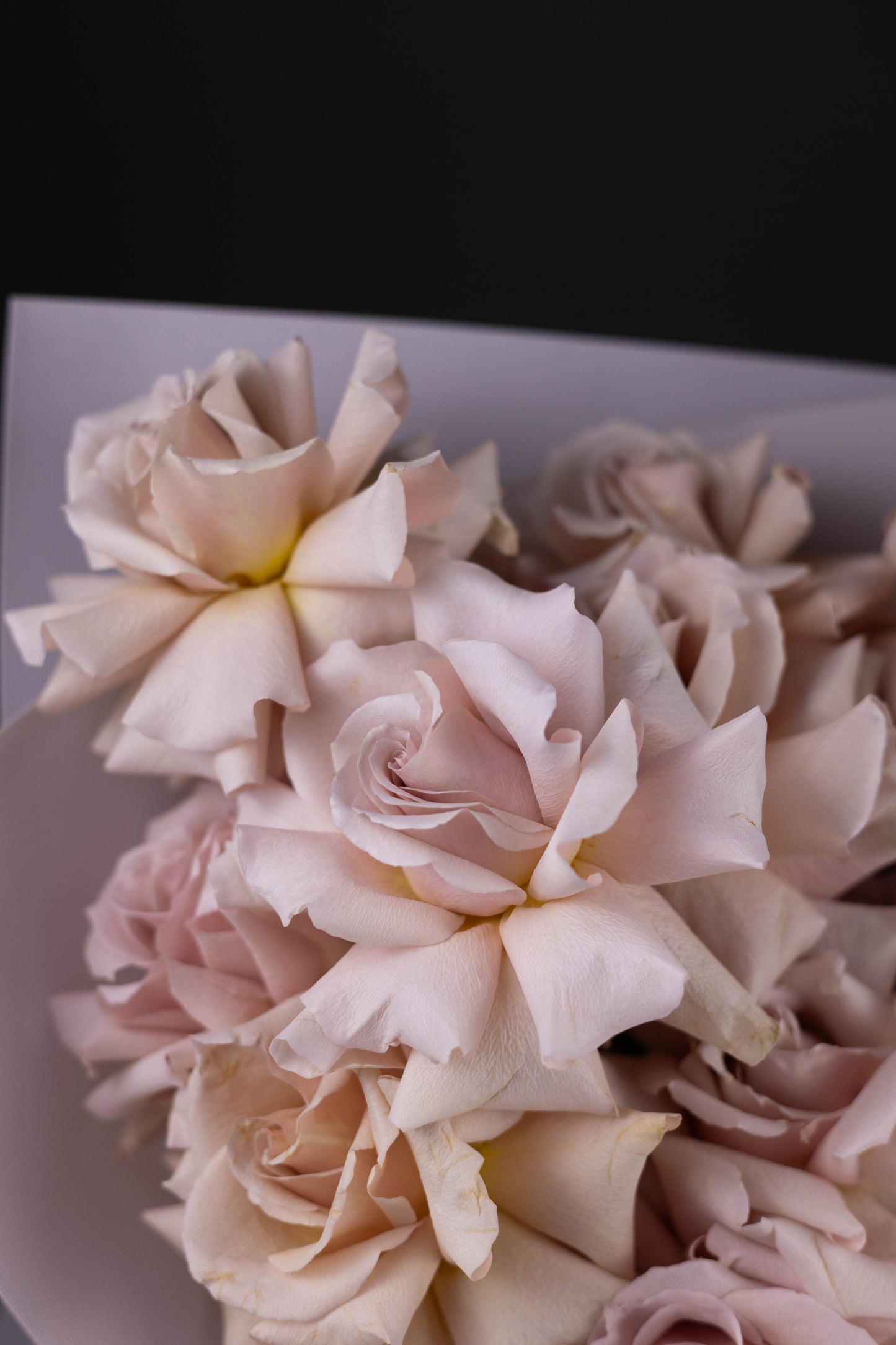 Close-up of blush-lavender roses showing soft petal texture and romantic tones