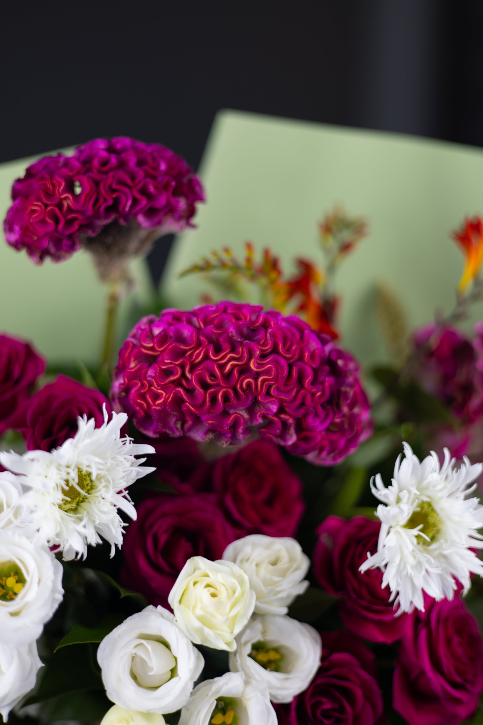 Artistic close-up highlighting the velvety magenta cockscomb flowers surrounded by white lisianthus and fuchsia roses.