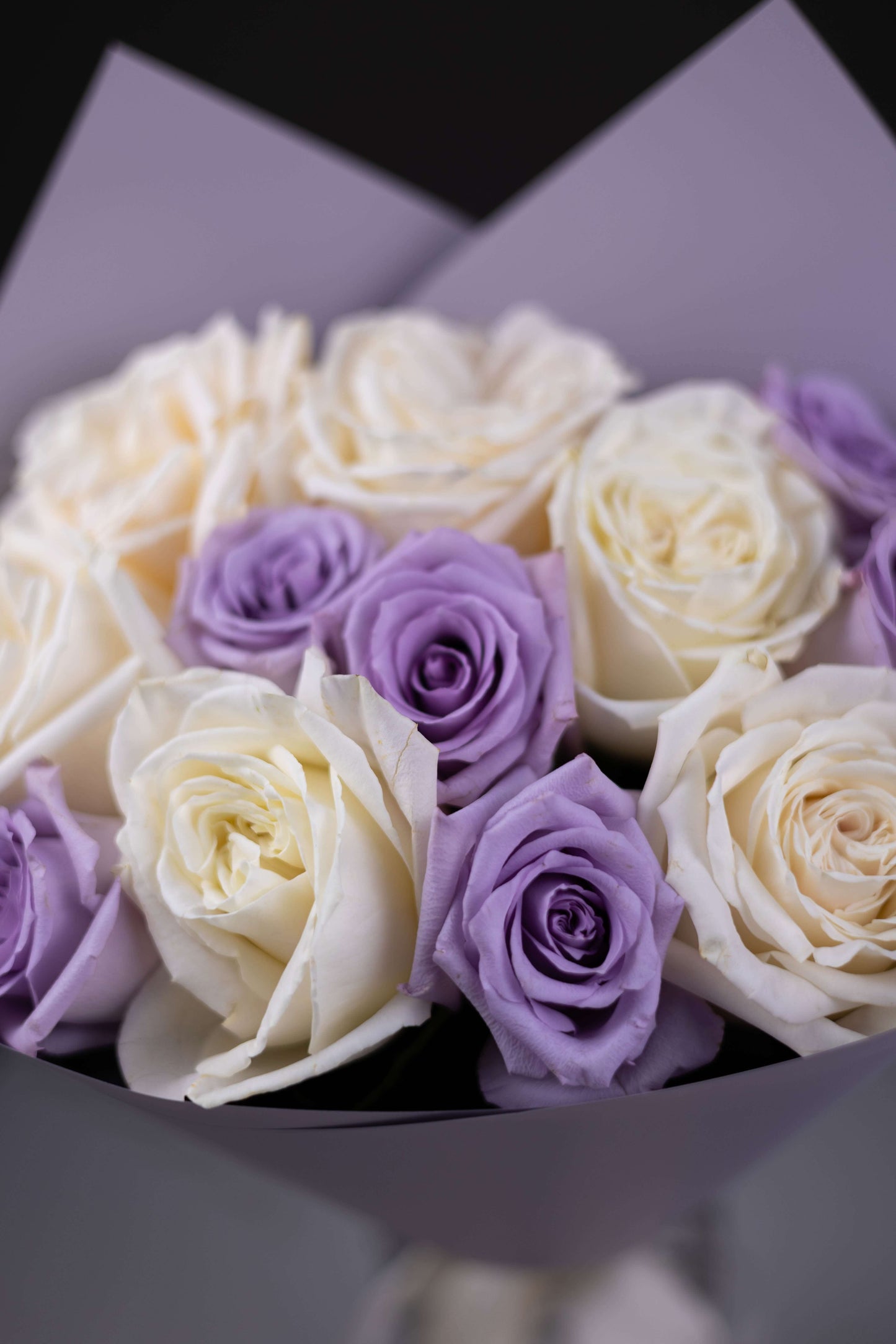 Bouquet of white and purple roses in a box