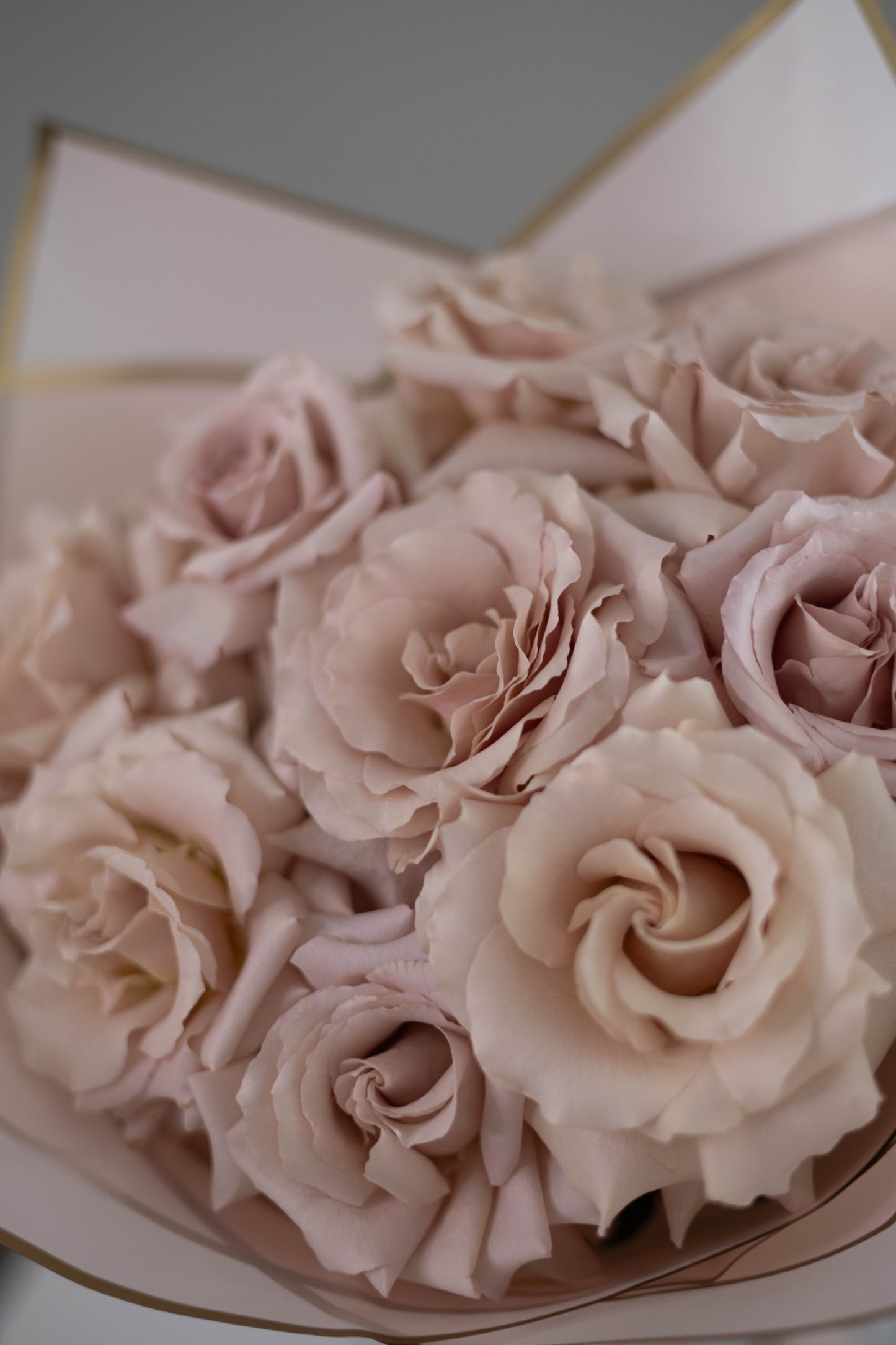“Élégance Nude” French Roses