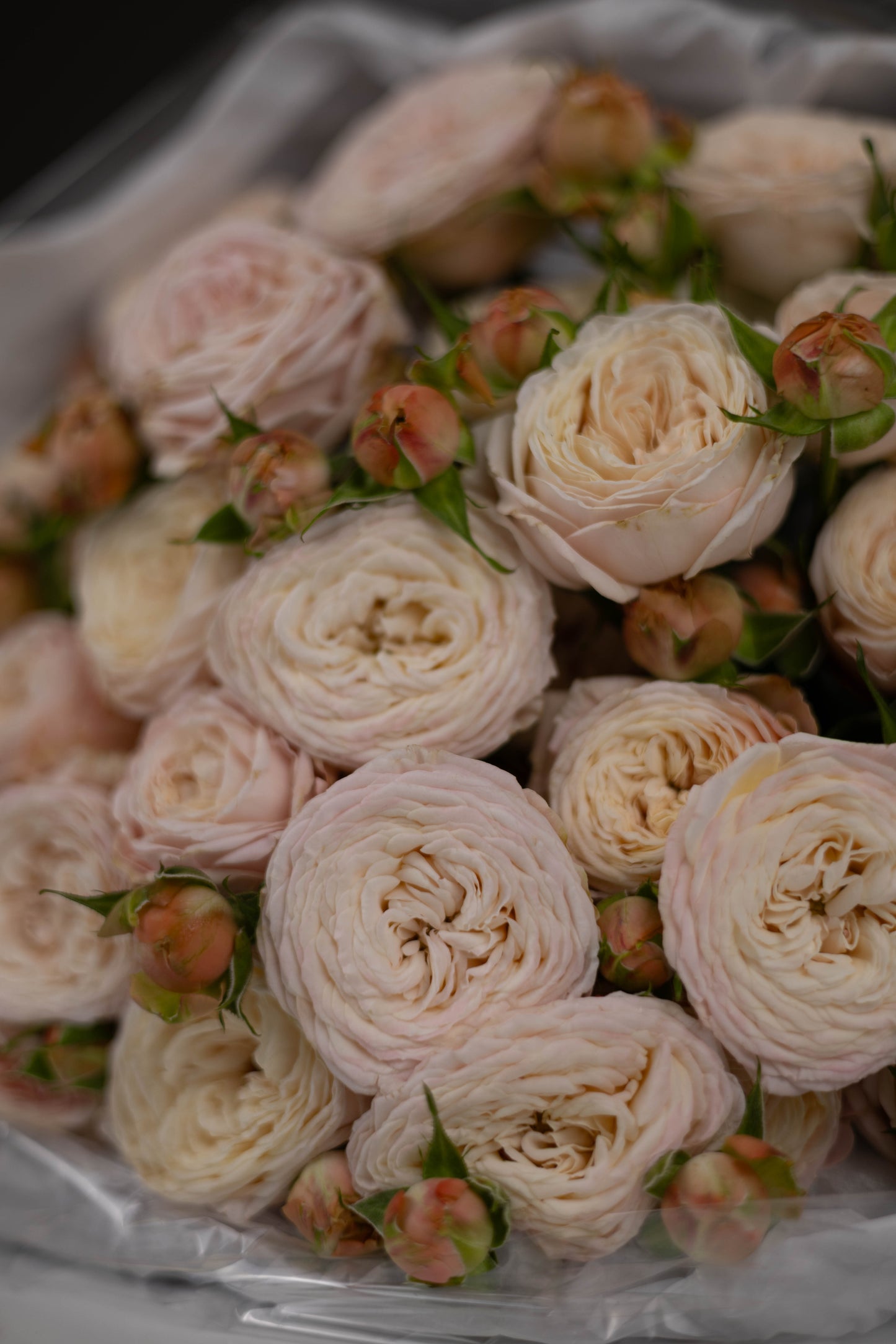 "Champagne Dreams " Garden Spray Rose Bouquet