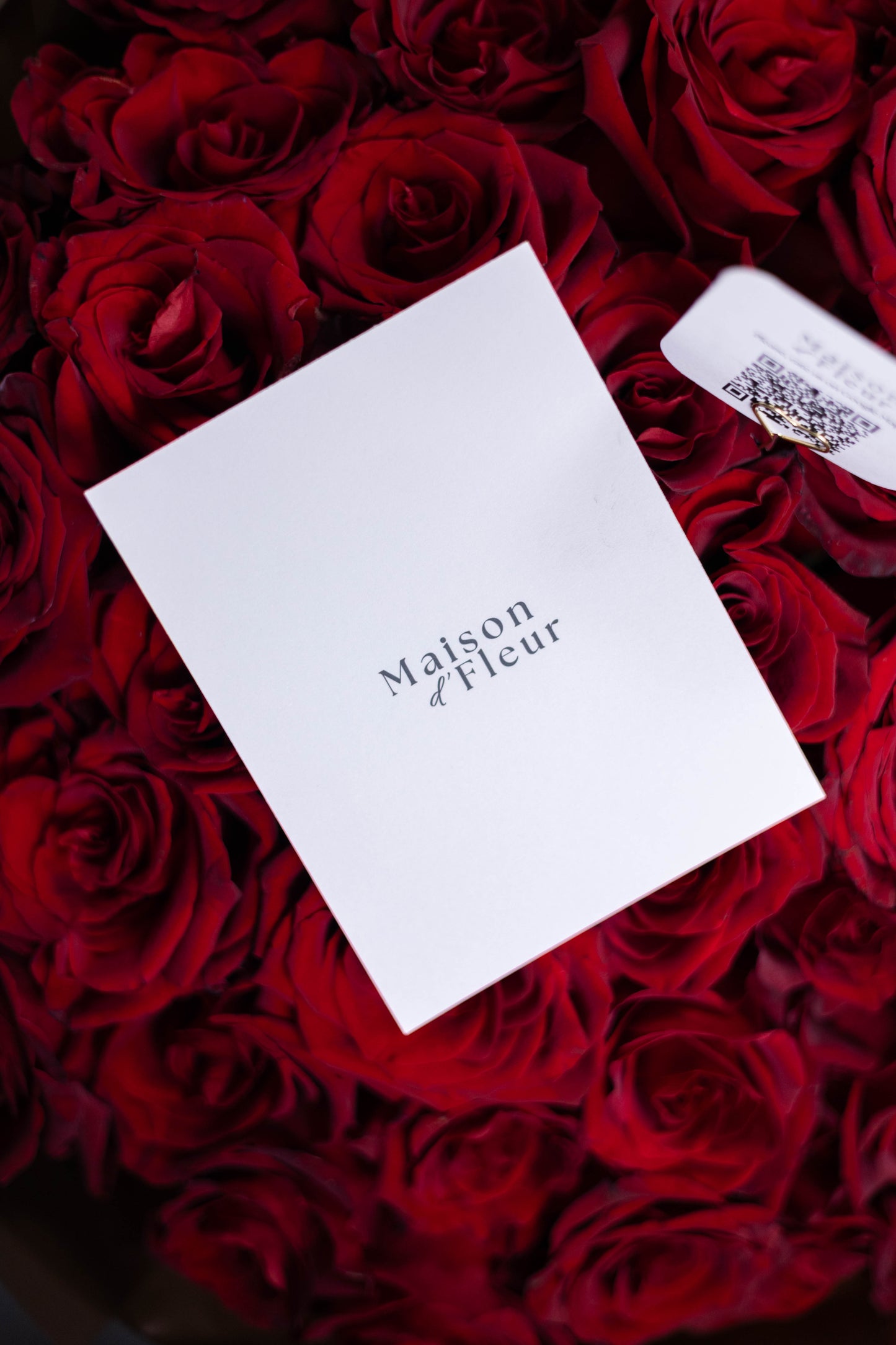 "Éternel Amour" Red Roses