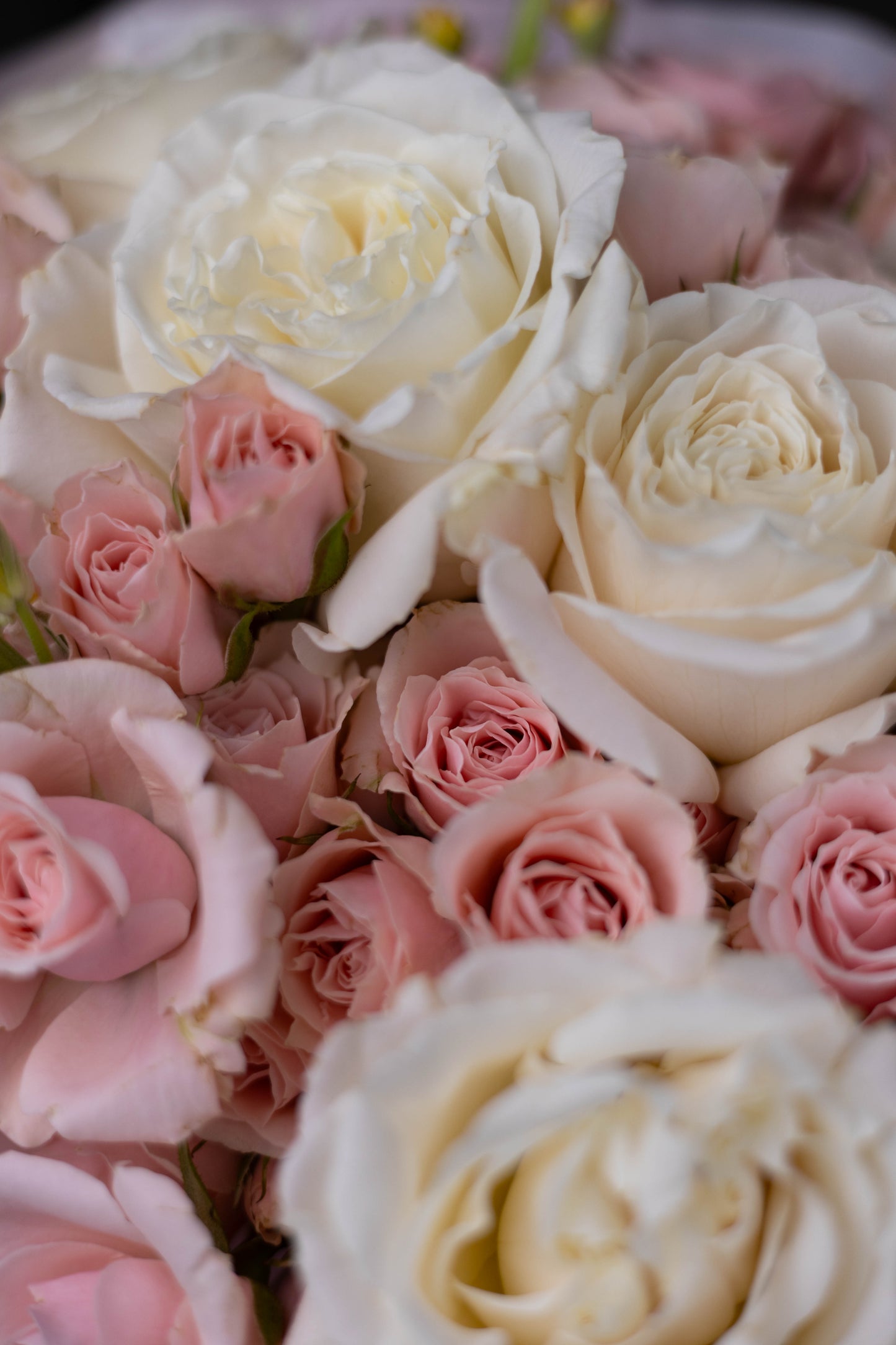 "Rosée du Matin" White Pink Bouquet of Roses and Stock