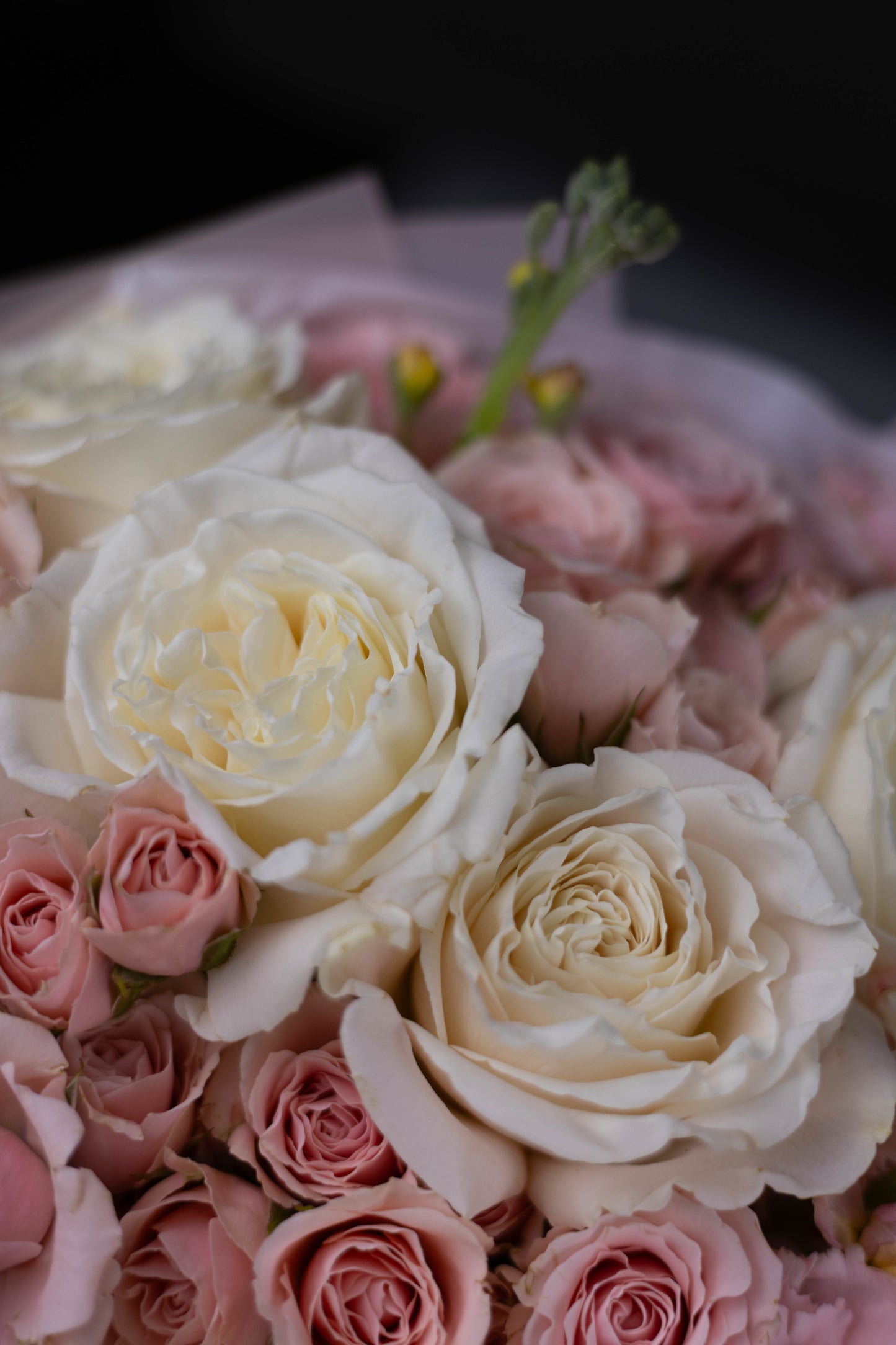 "Rosée du Matin" White Pink Bouquet of Roses and Stock