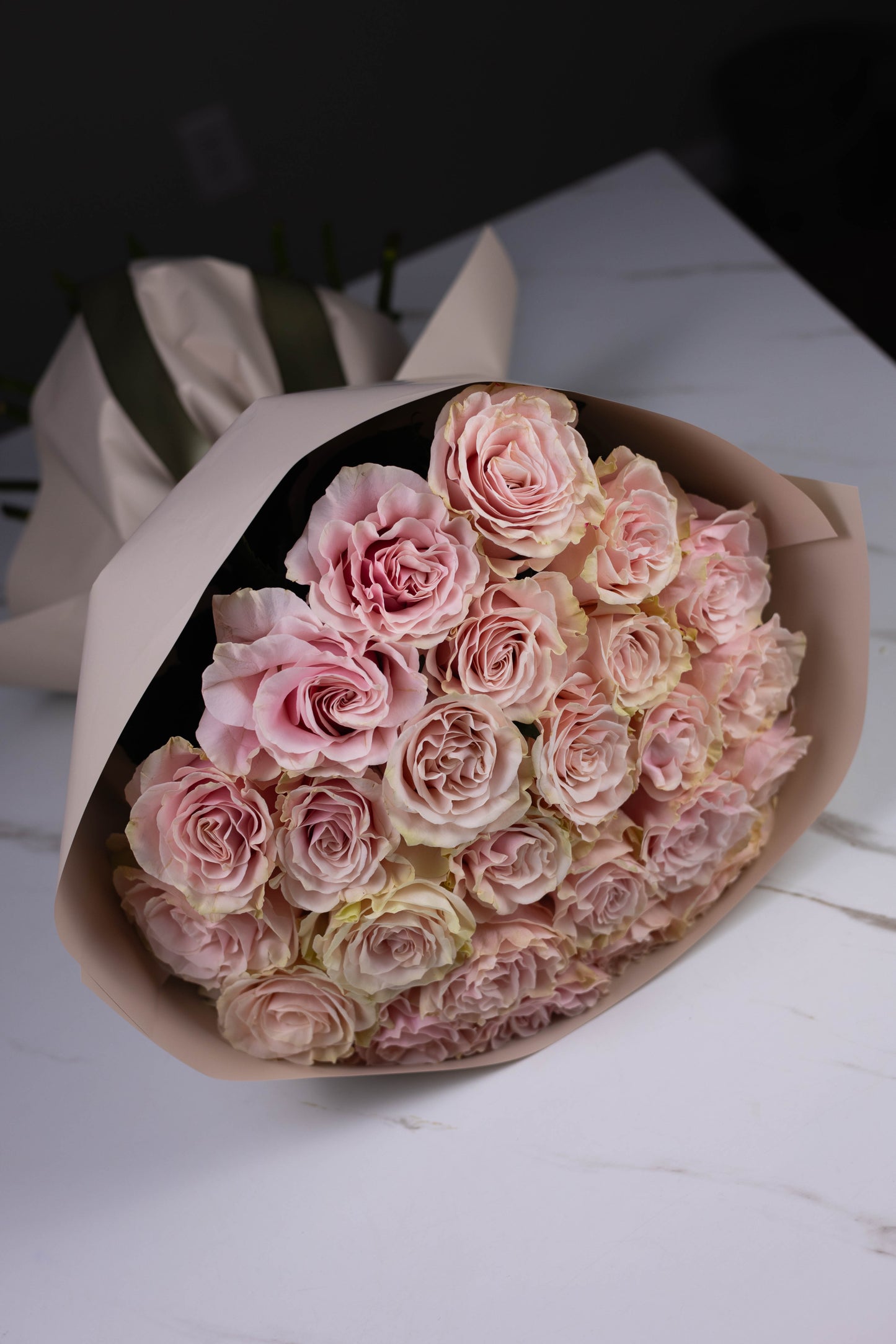 "Rosée de Lune" Pink Mondial Roses