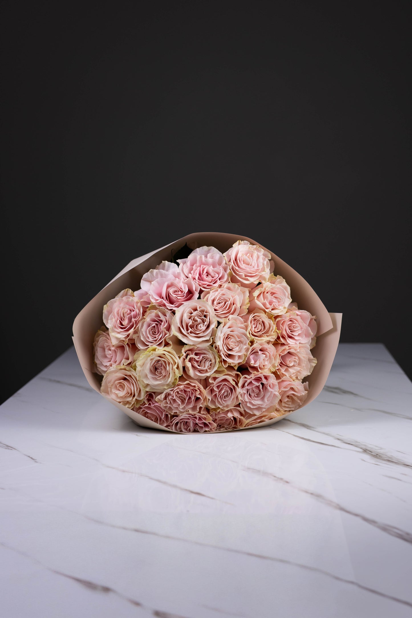 "Rosée de Lune" Pink Mondial Roses