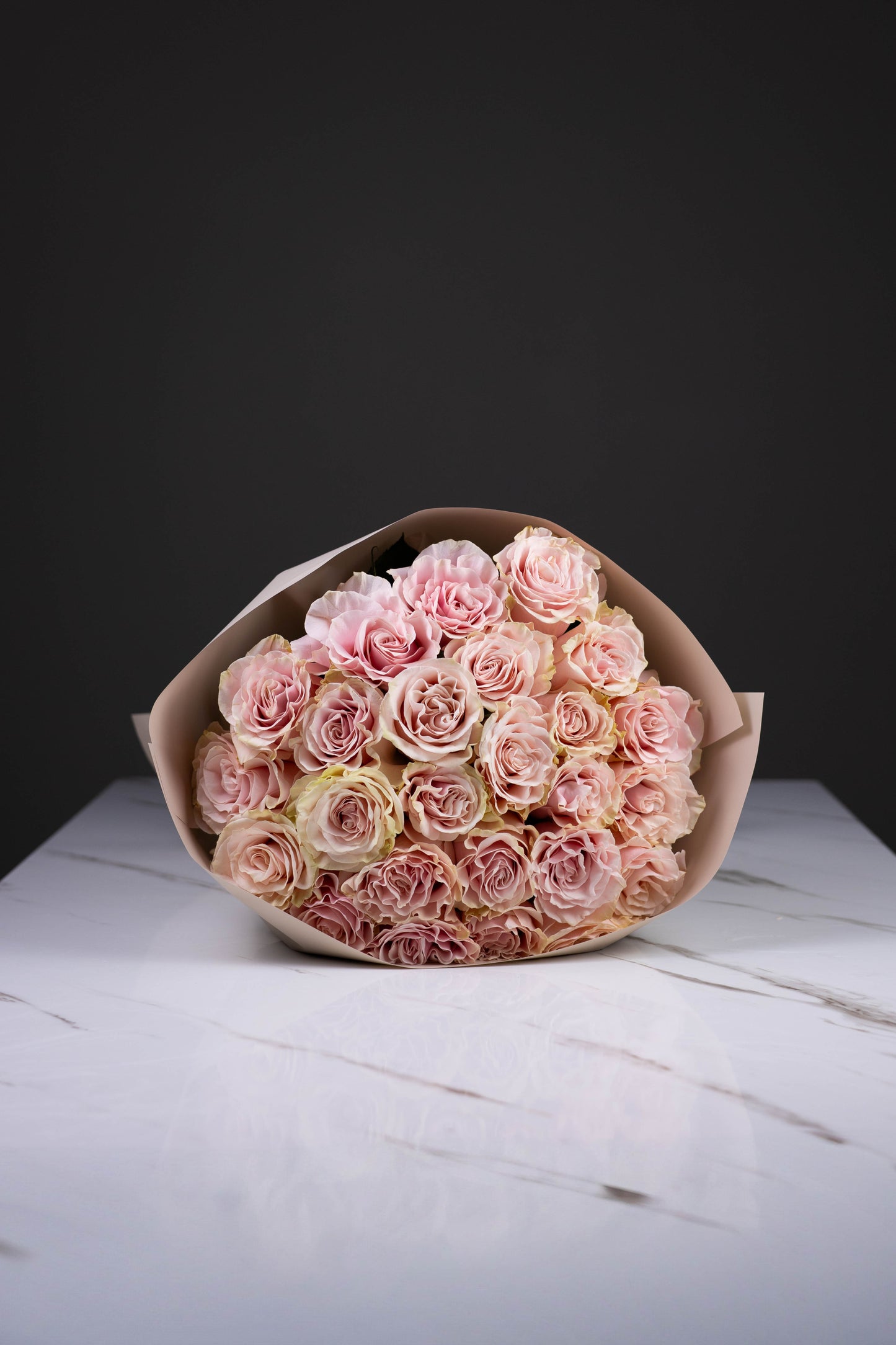 "Rosée de Lune" Pink Mondial Roses