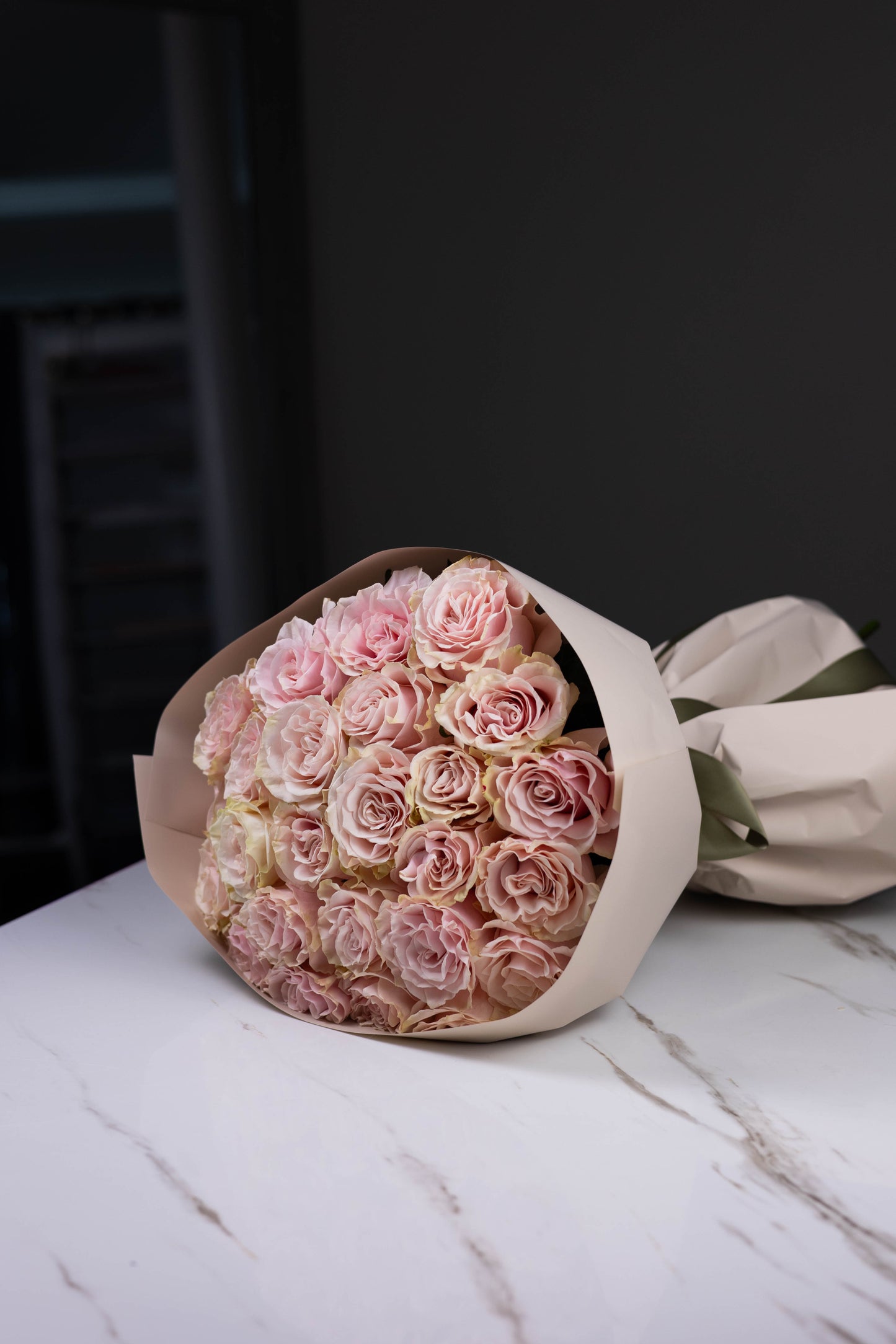 "Rosée de Lune" Pink Mondial Roses