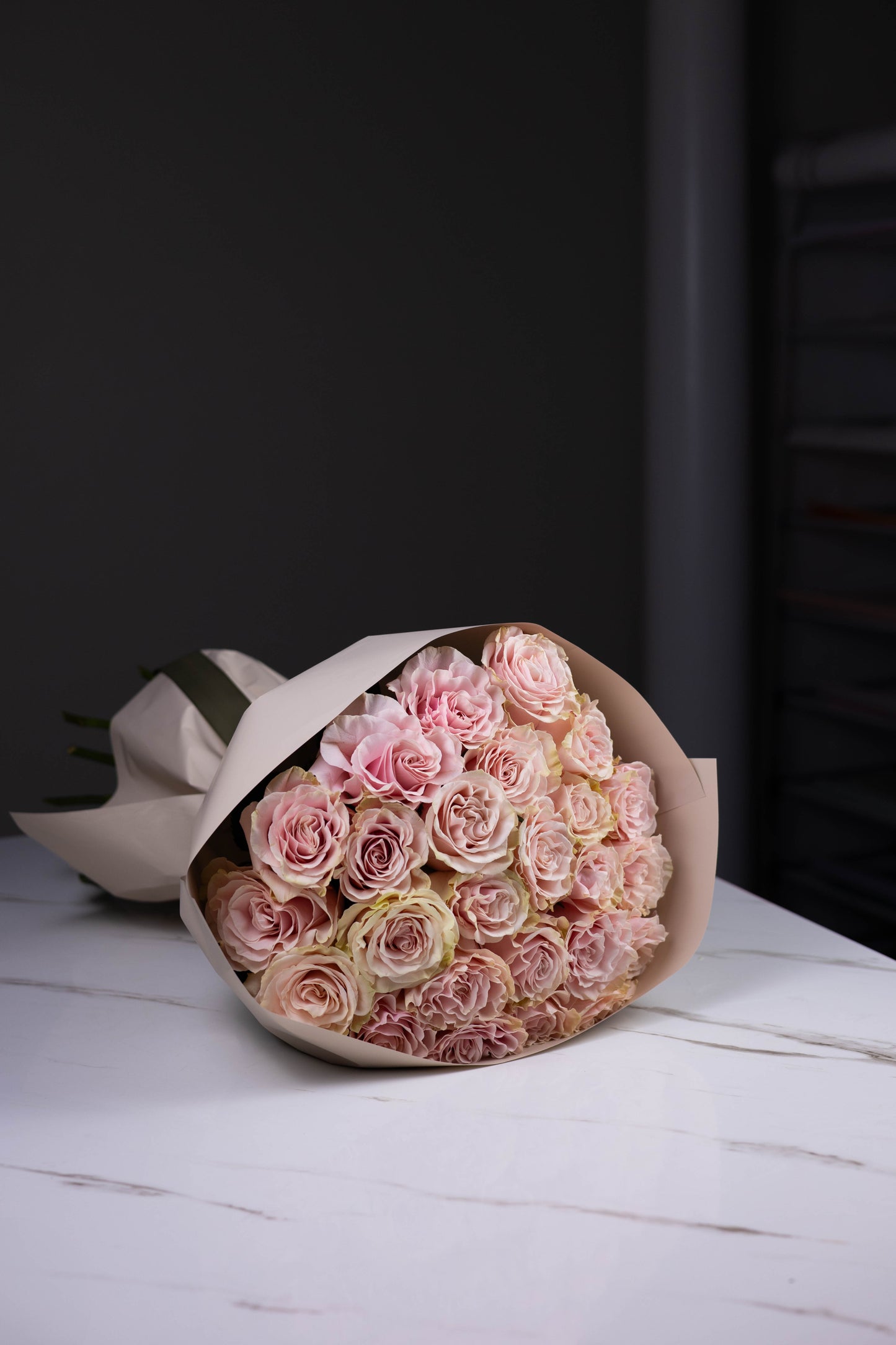 "Rosée de Lune" Pink Mondial Roses