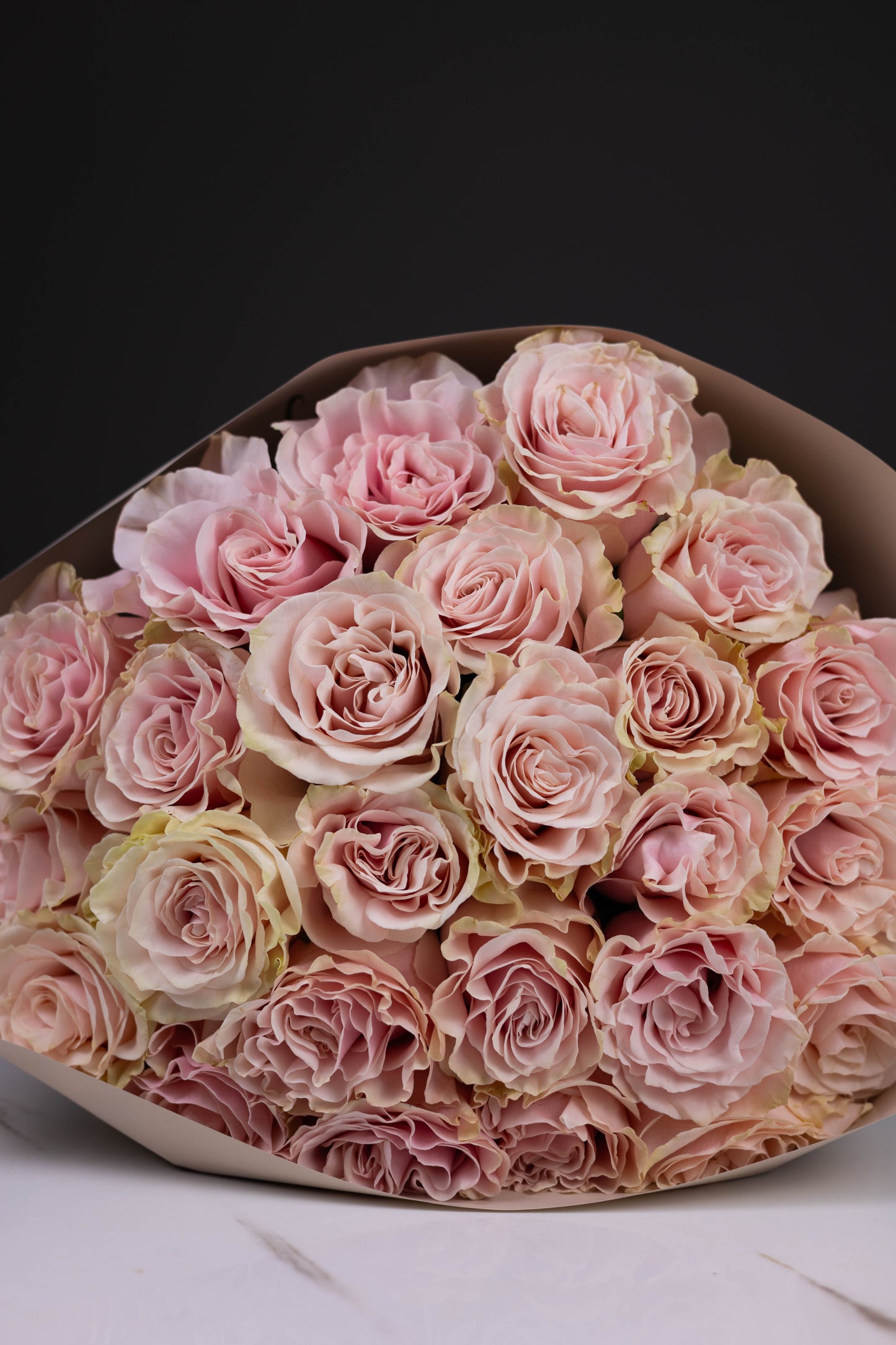 "Rosée de Lune" Pink Mondial Roses