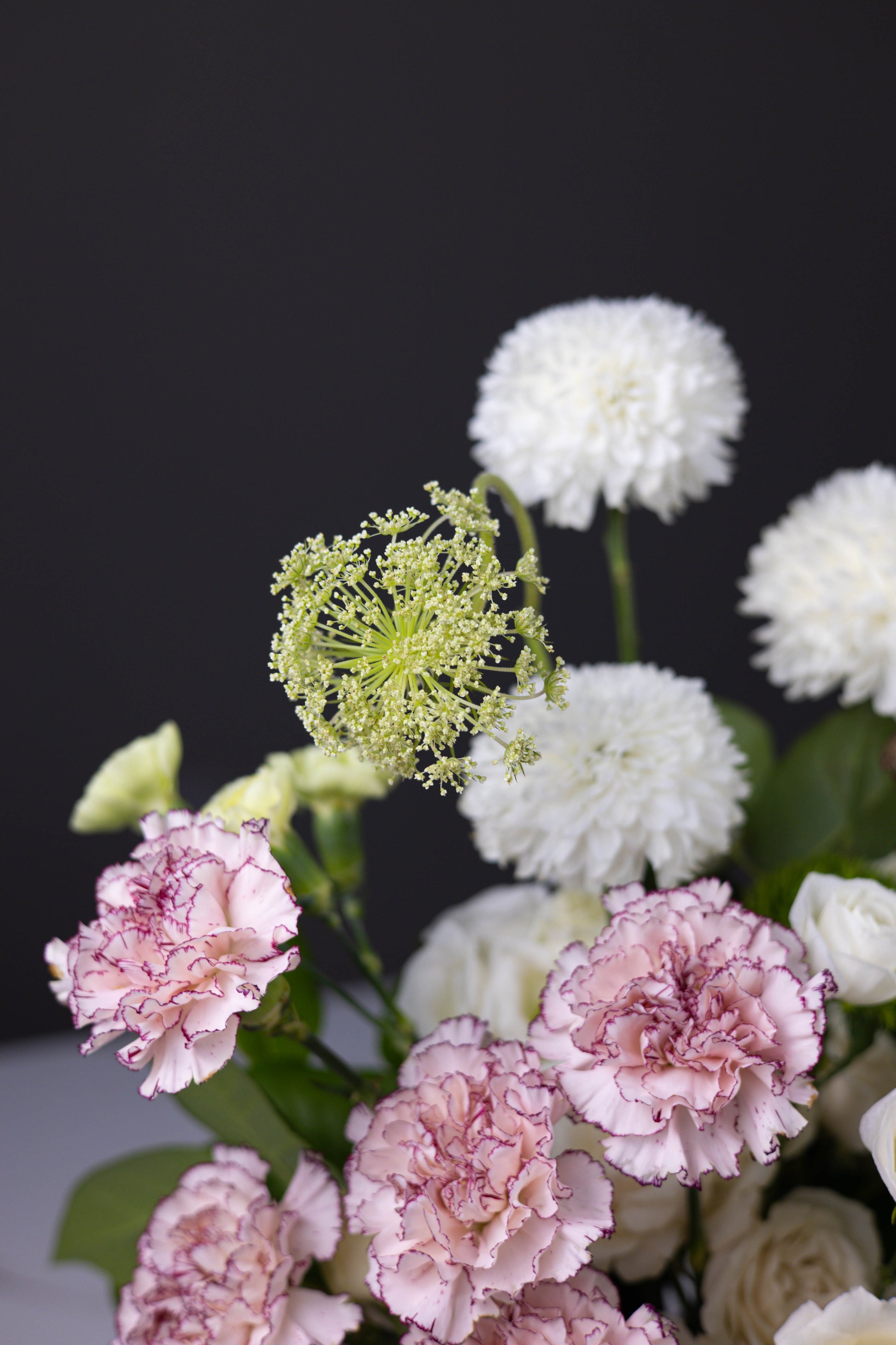 Close-up of blush-edged carnations and Queen Anne’s lace among fluffy white dahlias
