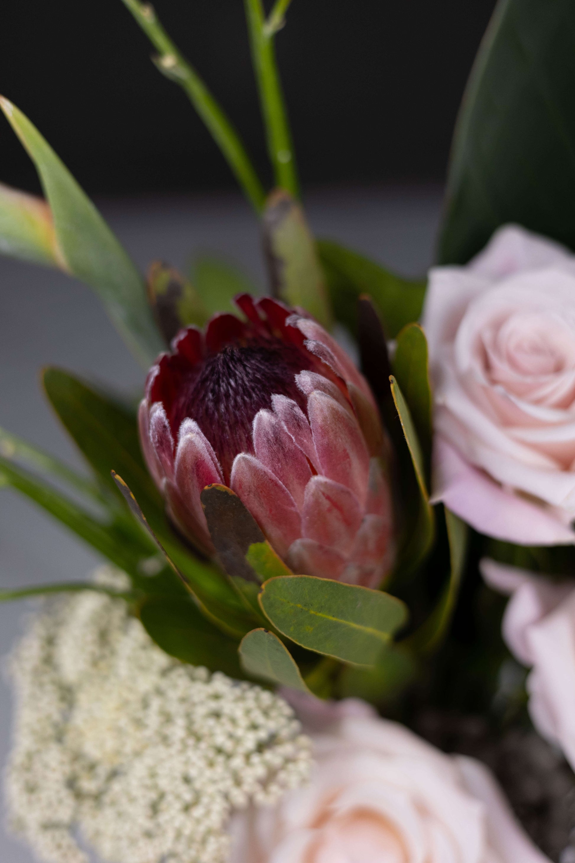 Exotic flower bouquet with Bird of Paradise and pink protea by Maison d’Fleur