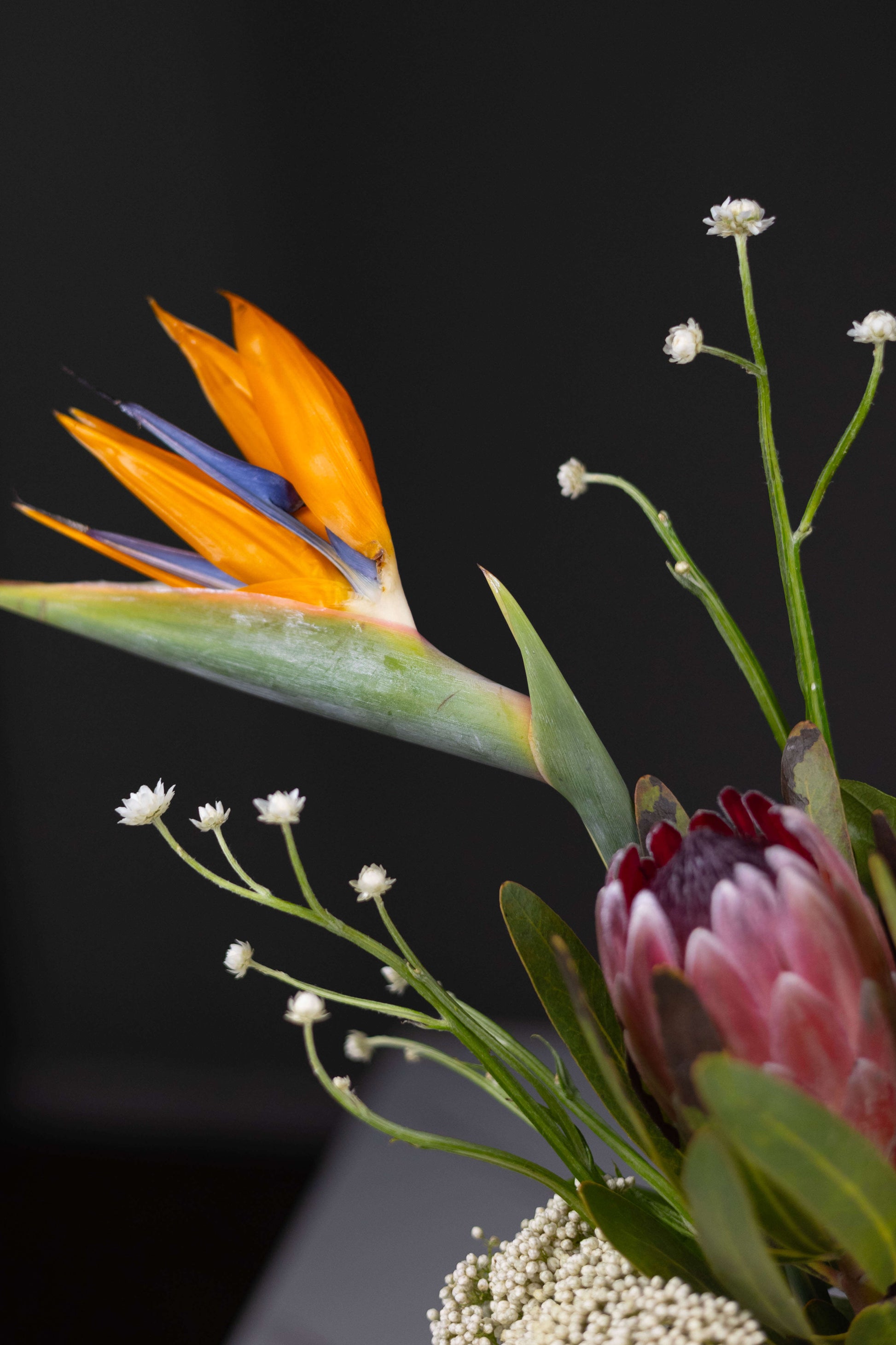 Contemporary tropical flower gift Charlotte NC with luxury flower delivery