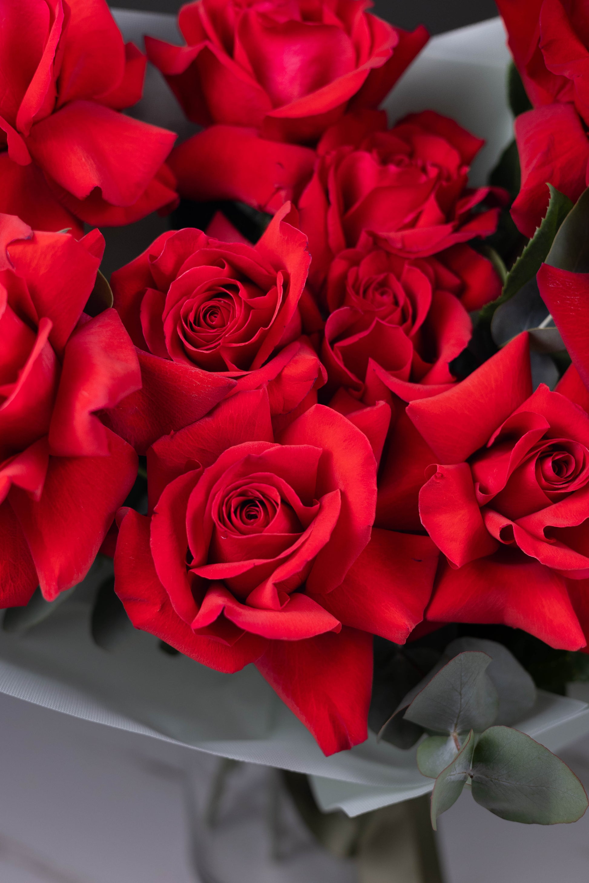 Bouquet of red roses with a blurred background