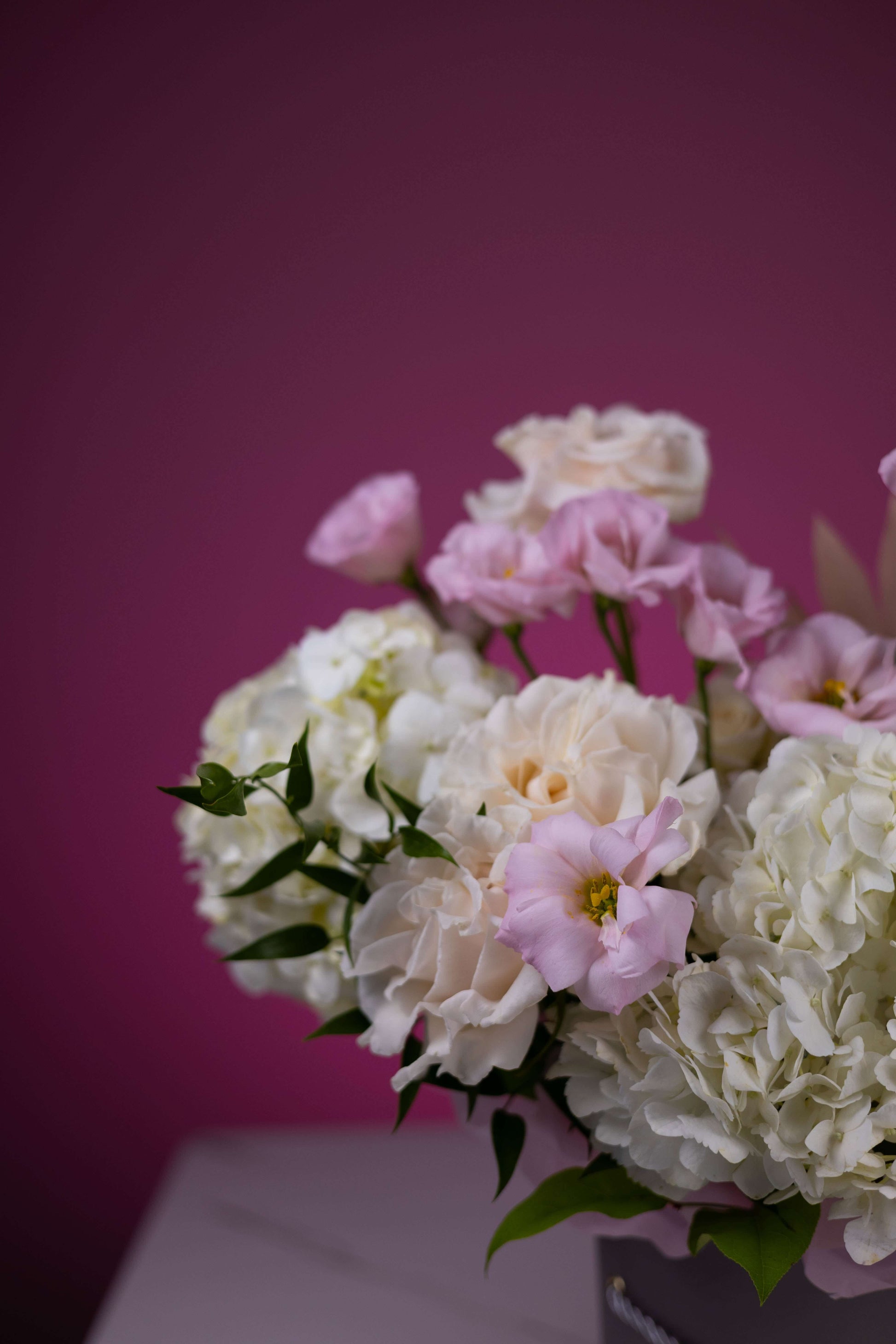 Bouquet of white and pink flowers against a pink background