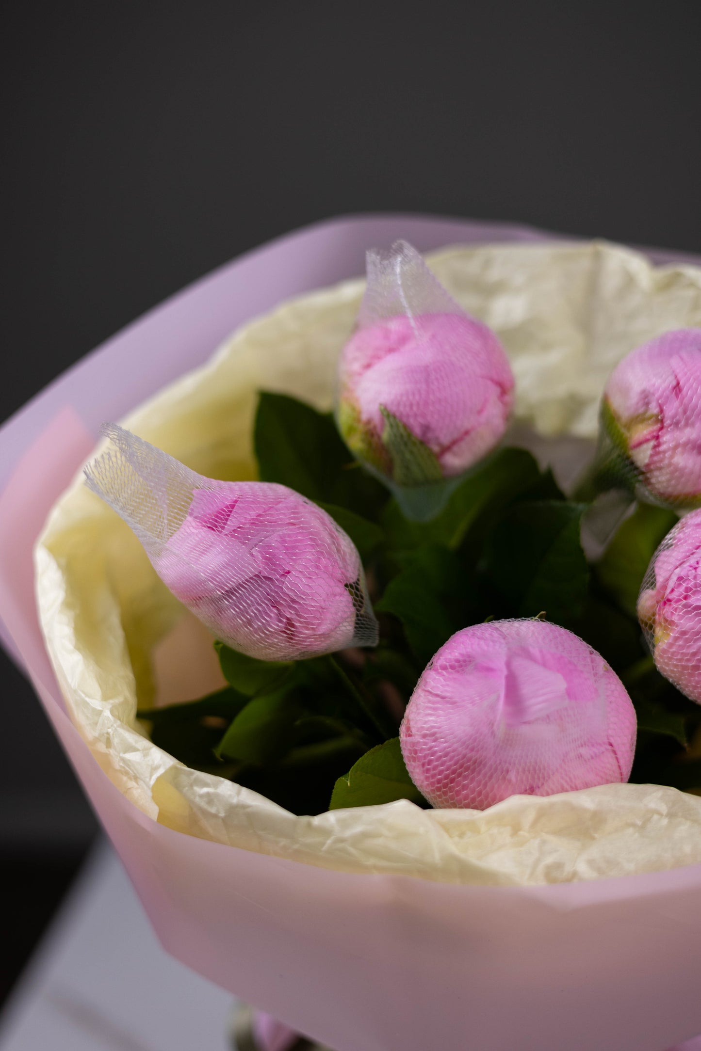 Pink flowers in a pink vase with a dark background